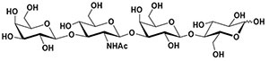 Structure of Lacto-N-tetraose