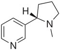 Structure of nicotine