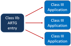 Flowchart showing the connection between a Class IIb ARTG entry and different applications for each Unique Product Identifier