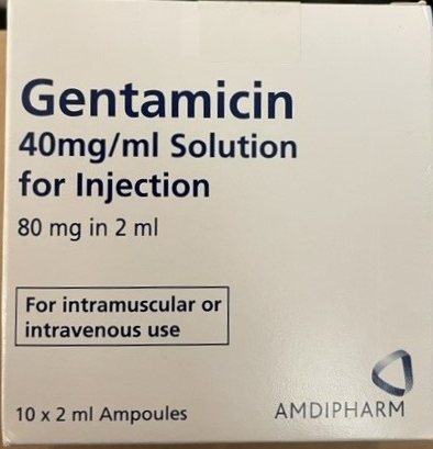 Picture of gentamicin 40mg/mL solution for injection ampoules - carton