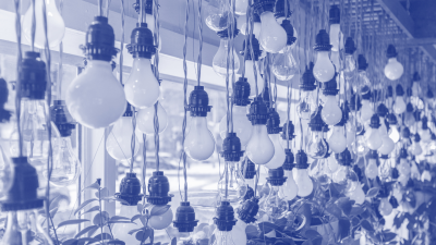 many light bulbs hanging from ceiling with plants and blue tint